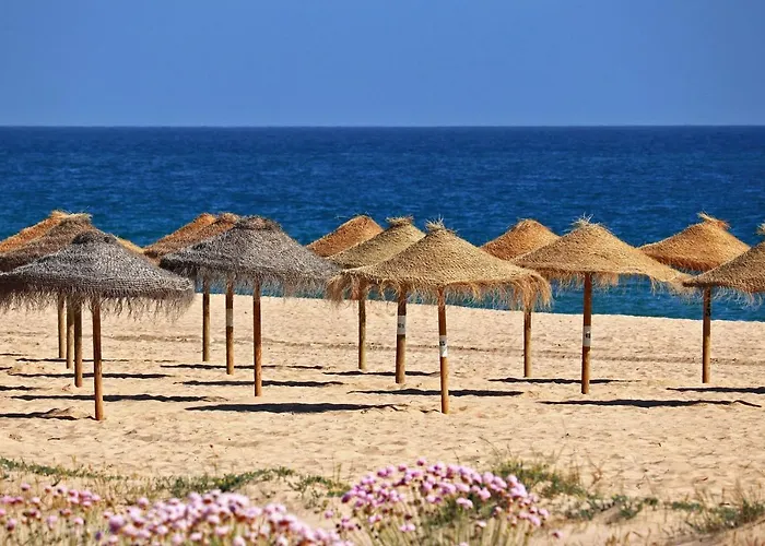 Centralgarve - 1 Bedroom Near The In - Anglo Atlantico Апартаменты