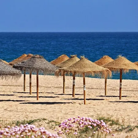 Centralgarve - 1 Bedroom Near The In - Anglo Atlantico Appartement